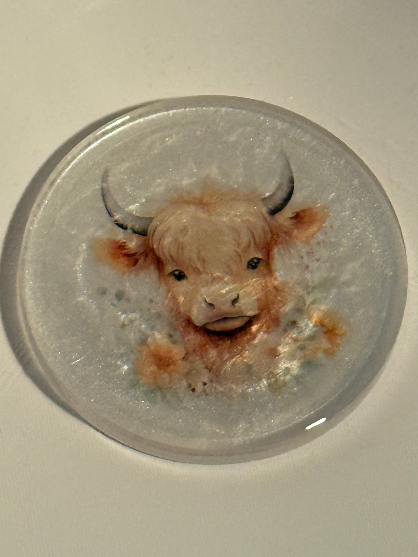 Highland Cow Coaster Set – 4 Unique Personalities in a Miniature Pasture Display